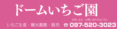 ドームいちご園