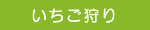 いちご狩り