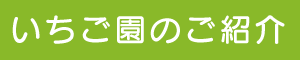 いちご園の紹介