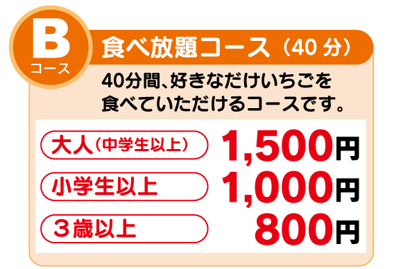 Bコース