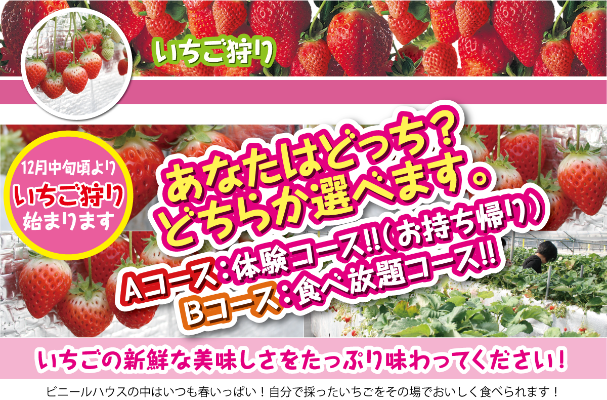 どちらのコースを選びますか？