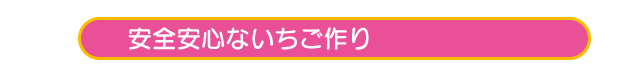 安全安心ないちご作り